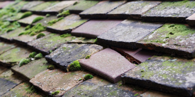 Hawkwell roof repair costs